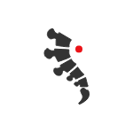 Chiropractic Treatment Icon